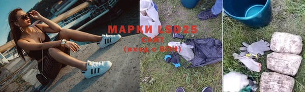 гидропоника Бугульма