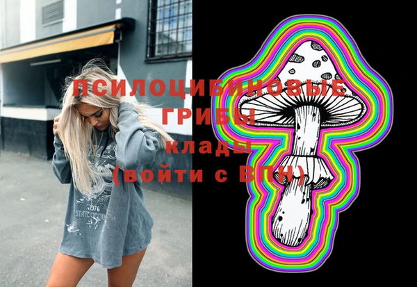 тгк Бородино