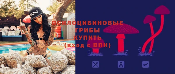 гидропоника Бугульма