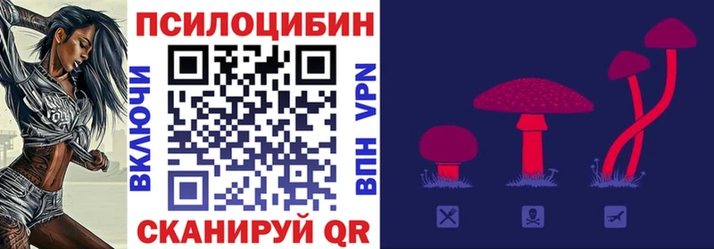 KRAKEN как зайти  Майкоп  Псилоцибиновые грибы ЛСД 