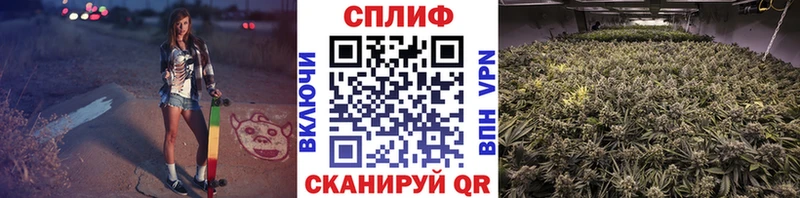МАРИХУАНА OG Kush Майкоп